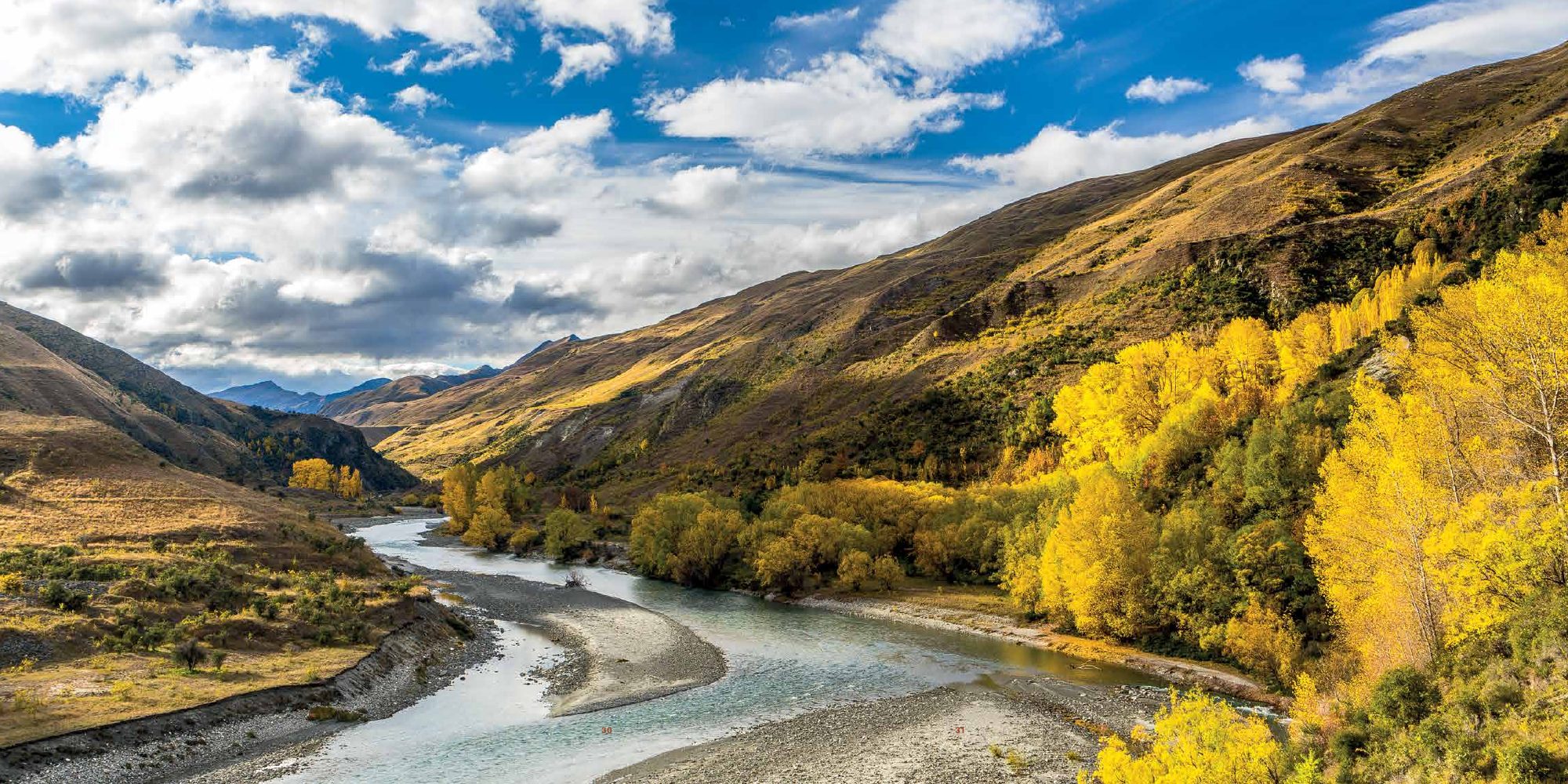 A double-page photograph from The Branches. The Shotover River winds over grey shingle through a valley of tussock hills, with a bank of poplars and willows in bright autumn yellow on the right and blue sky and white cloud above.
