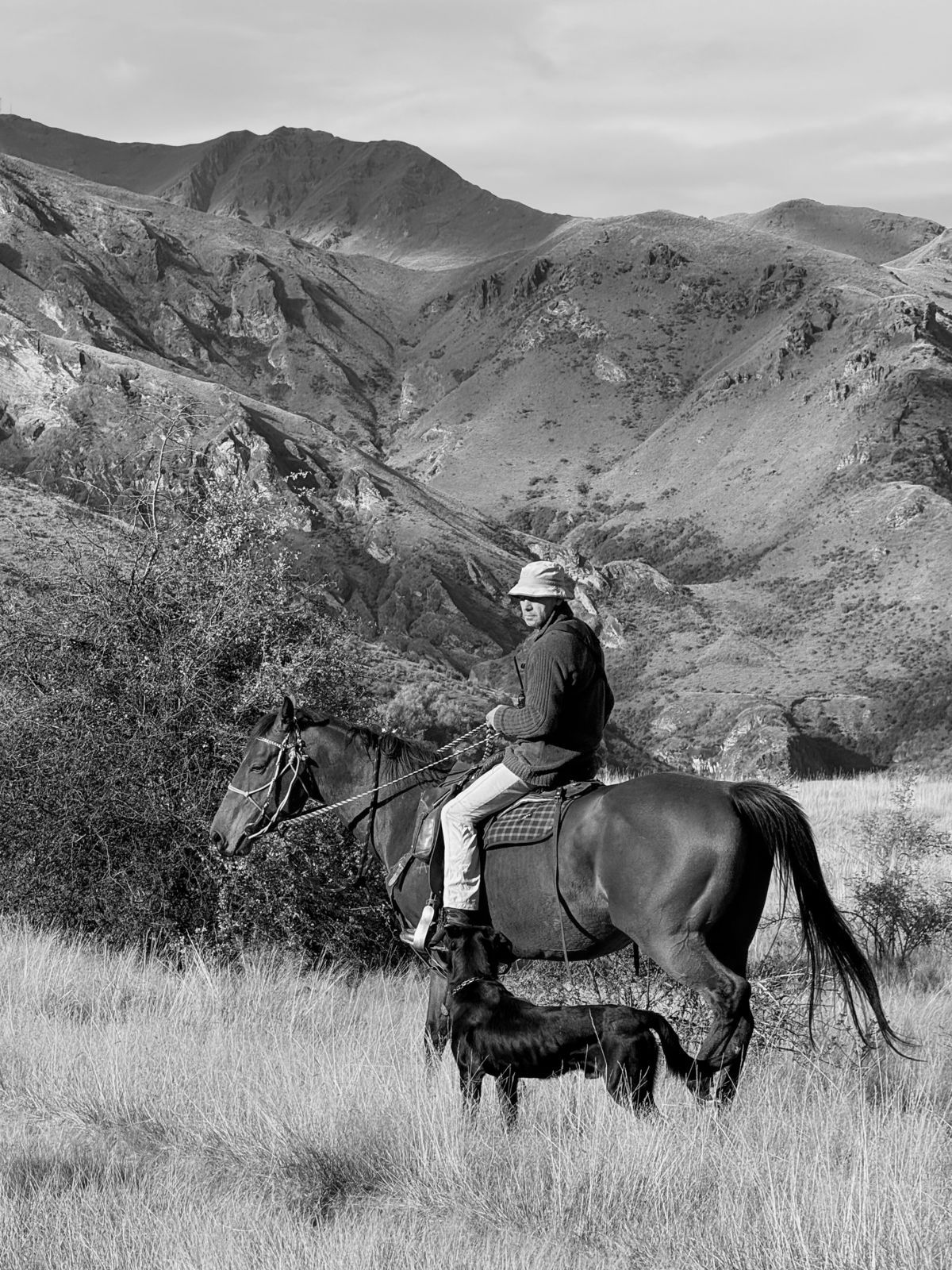 A rider on a chestnut horse with a black dog in golden tussock, below steep brown ranges